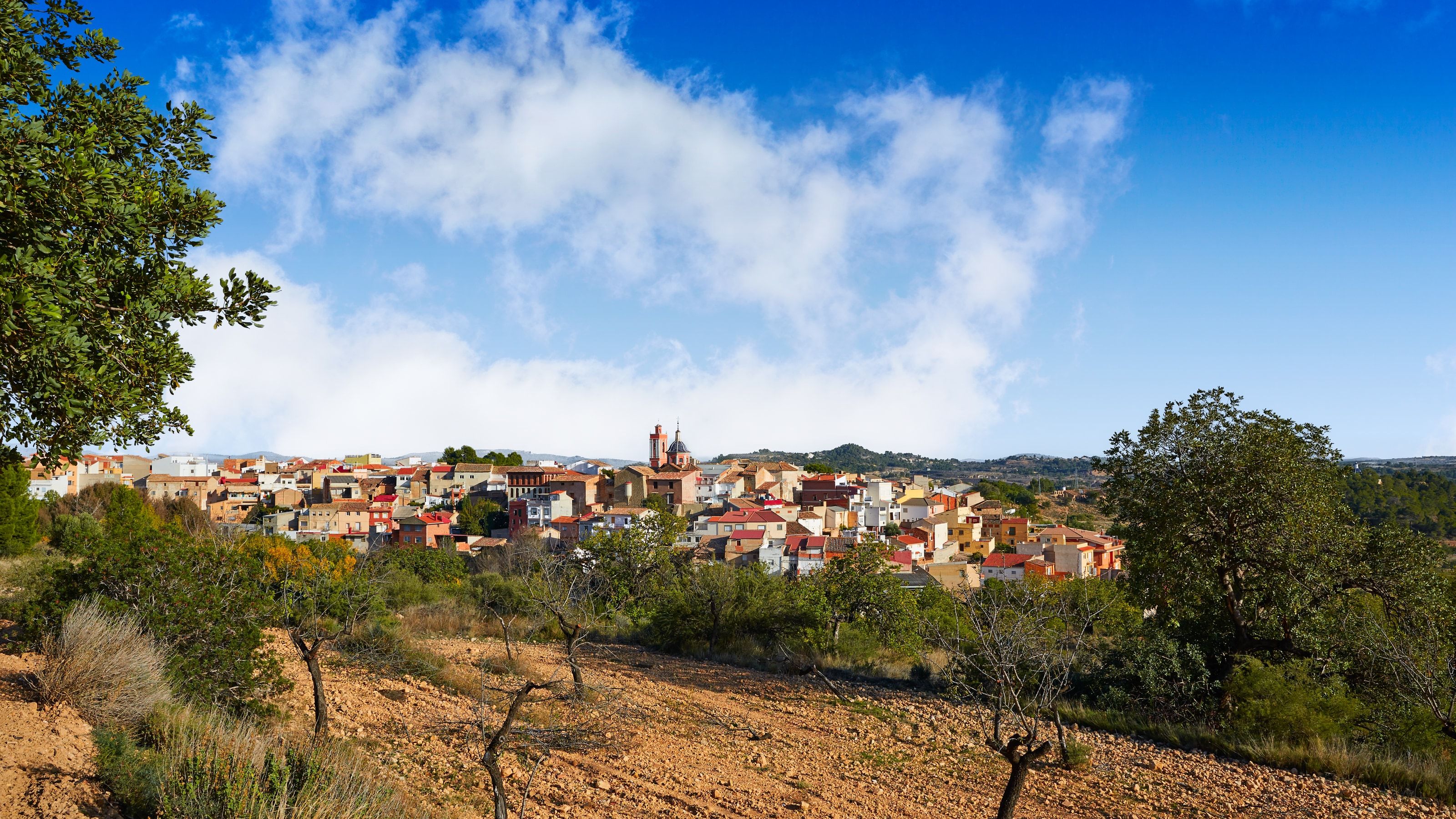Campo de cultivo mediterráneo con almendros y olivos y un pueblo con sus casas y campanario al fondo